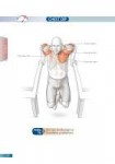 Bodyweight-strength-training-anatomy-your-illustrated-guide[...].jpg