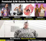 Feminist SJW Guide To Free Speech.png