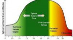 on-ketosis-the-special-metabolic-state.jpg