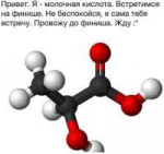 Привет. Это я молочная кислота..jpg