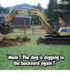 mom-the-dog-digging-in-the-backyard-again-10917767.png