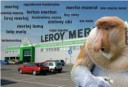 leroy-merlin2017-05-1717-31-49.jpg