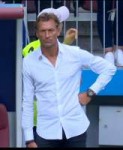 herverenard3.jpg