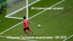 Чемпион.jpg