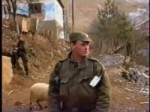 mauzer.webm