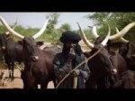 Fulani nations music (Senegal).mp4