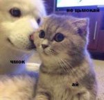 15028273230510.jpg