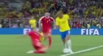 Flap.mp4