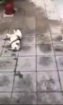 neymar.mp4