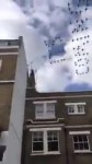 15313240495220.mp4