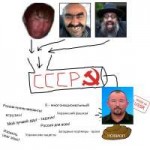 новиоп шейнин.jpg