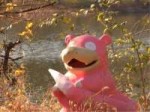 slowpoke7.jpg