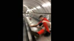 77667868.mp4
