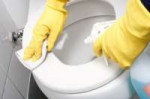 N31-1CleaningToilet-575x383[1].jpg