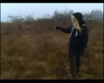  .webm