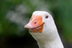 1540250669424.png