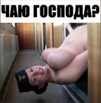image.jpeg