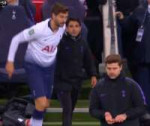 poch.PNG