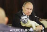 images (1).jpeg