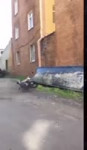 15600540169170.mp4