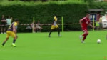 mane.webm