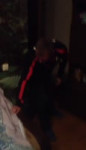 Свино@1.mp4