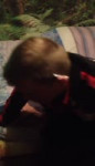 Свино@1.mp4