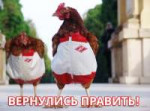 15643135666610.png