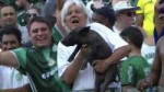 palmeiras adriano.jpg