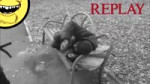 15369987015261.mp4