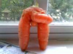 weird-carrot.jpg