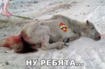7E906FC0-1B1D-4F27-92DE-F94A861A2EC9.jpeg