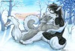 cute1494150696.kashmerehuskycuddles.png