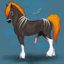 feralRufciu-Rufuz-stallion-anatomy-training.jpg