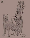 feral5a1466036170.hybernationhudsketch1lr.jpg