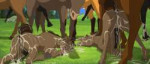 feral3860912Nextimestallionsxtwinfoals-aftersex.png