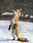 fox1521924510.rascheln2018-03-18snowfoxs.jpeg