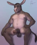 eqRov-Donkey-Dad.png