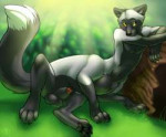 taur1426031164.umbralfoxvallhundumbralfox.png