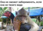15450505531322[1].jpg