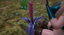 Flowerdick.png