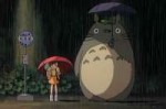 totoro.jpg