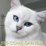 555-come-on-now.jpg
