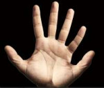 6 finger hand.jpg