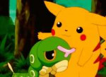 pikachu and caterpie.gif
