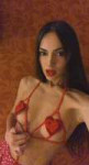 4835629-royalhay.webp