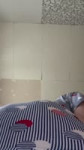 IMG1251.MP4
