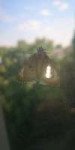 IMG20230718160301.jpg