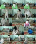 IMG4636.jpeg