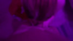 IMG4867.MOV